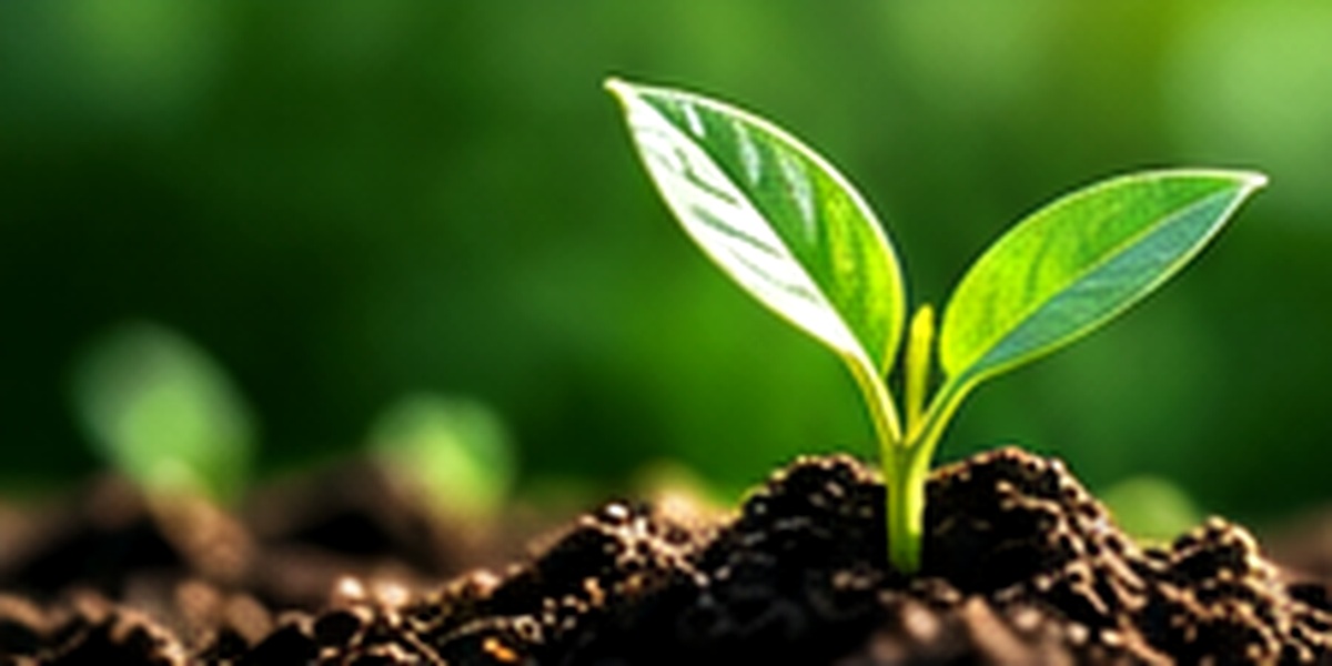 Growing plant